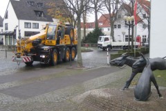 img_fotos_maibaum_abbruch-und-wiedererrichtung-06-07_003