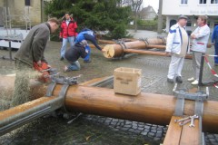 img_fotos_maibaum_abbruch-und-wiedererrichtung-06-07_011