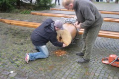 img_fotos_maibaum_abbruch-und-wiedererrichtung-06-07_015