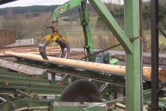 img_fotos_maibaum_abbruch-und-wiedererrichtung-06-07_031