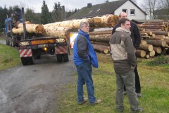 img_fotos_maibaum_abbruch-und-wiedererrichtung-06-07_040