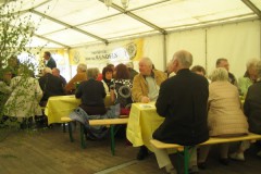 img_fotos_maibaum_maibaumfest-tanz-unterm-maibaum_012