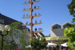 img_fotos_maibaum_maibaumfest-tanz-unterm-maibaum_019