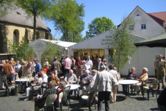 img_fotos_maibaum_maibaumfest-tanz-unterm-maibaum_028