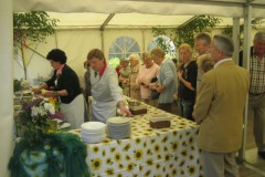 img_fotos_maibaum_maibaumfest-tanz-unterm-maibaum_037